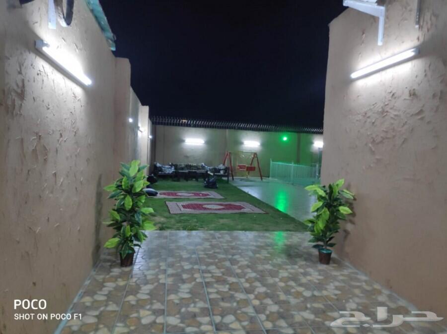 استراحه للايجار في المدينه المنوره