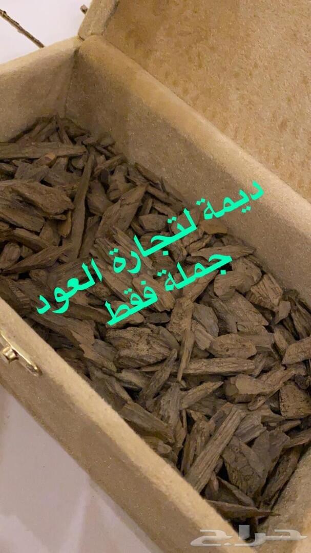 ديمة لتجار العود الطبيعي و المحسن جملة