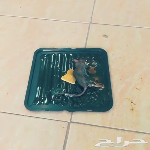 شركة غسيل مجالس سجاد خزانات مكيفات فلل مبيدات