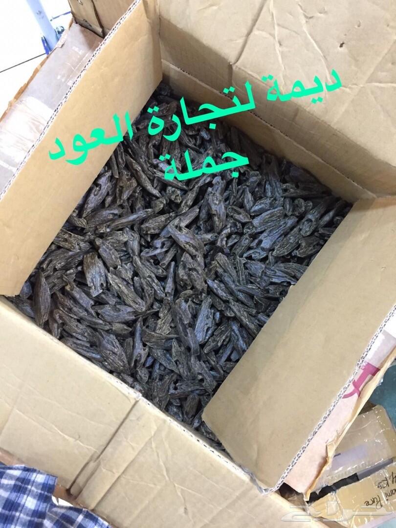 ديمة لتجار العود الطبيعي و المحسن جملة