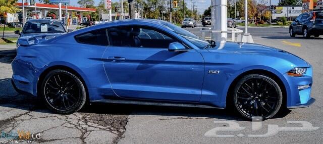 2019 Ford Mustang Gt Performance Package ب138