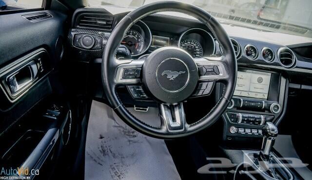2019 Ford Mustang Gt Performance Package ب138