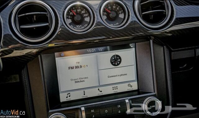 2019 Ford Mustang Gt Performance Package ب138