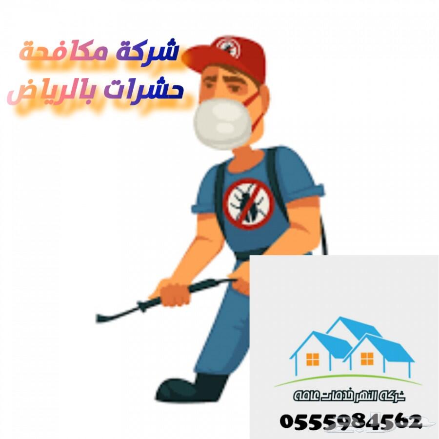 شركة رش دفان ومكافحة النمل الابيض بالرياض