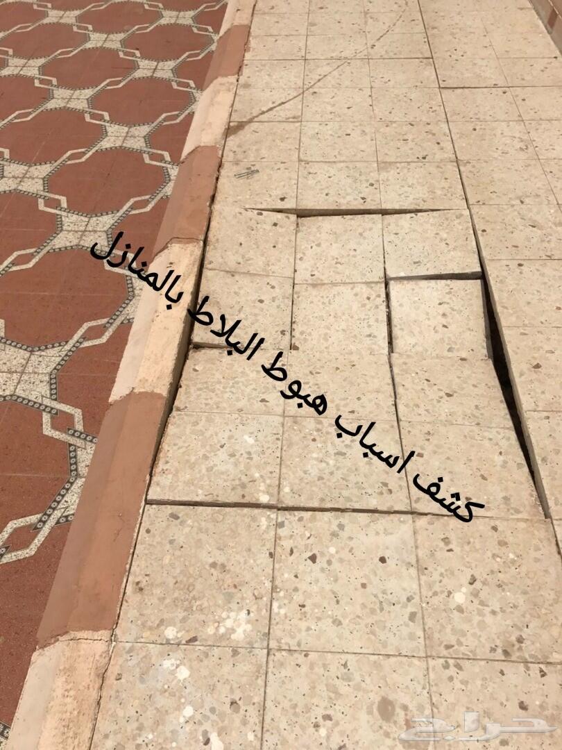 شركة رش مبيدات ومكافحة الحشرات والقوارض