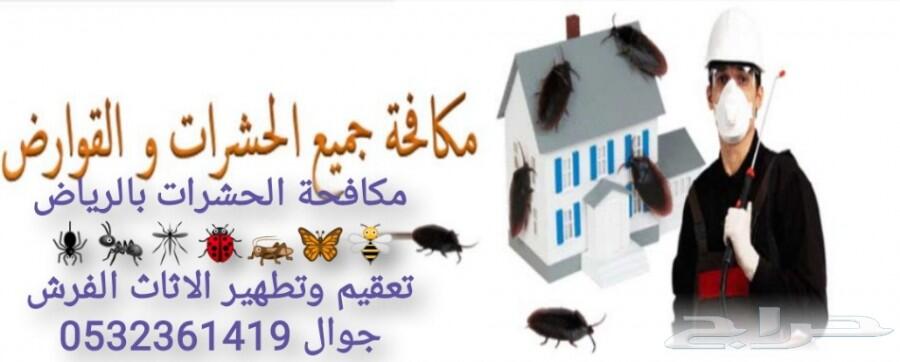 شركة رش مبيدات ومكافحة الحشرات والقوارض