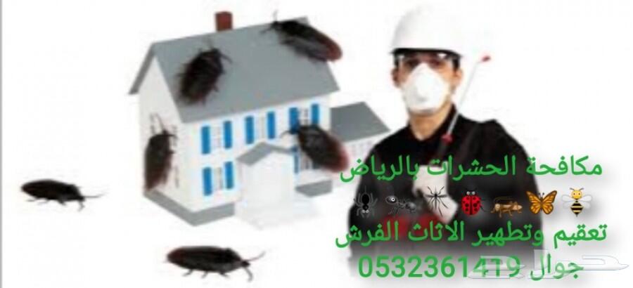 شركة رش مبيدات ومكافحة الحشرات والقوارض
