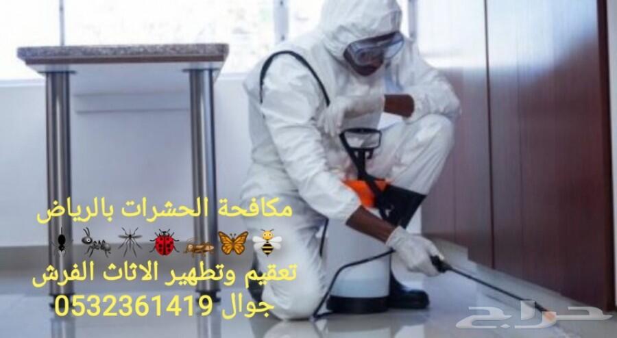 شركة رش مبيدات ومكافحة الحشرات والقوارض