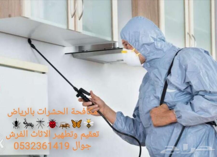 شركة رش مبيدات ومكافحة الحشرات والقوارض