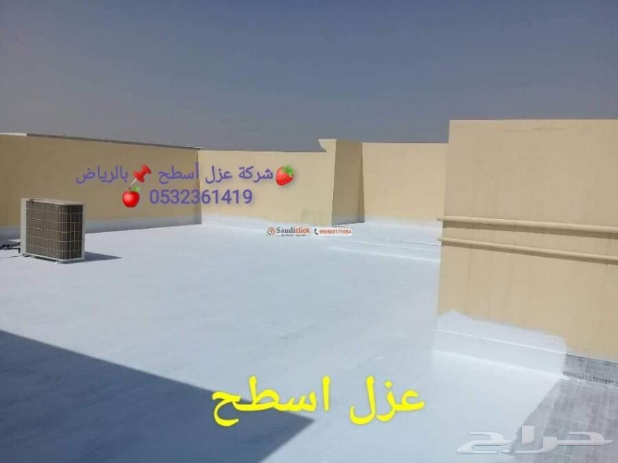 شركة رش مبيدات ومكافحة الحشرات والقوارض