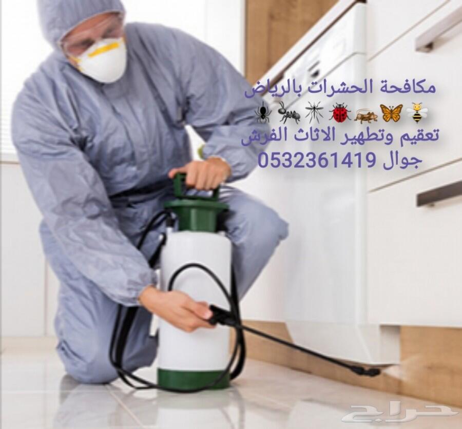 شركة رش مبيدات ومكافحة الحشرات والقوارض