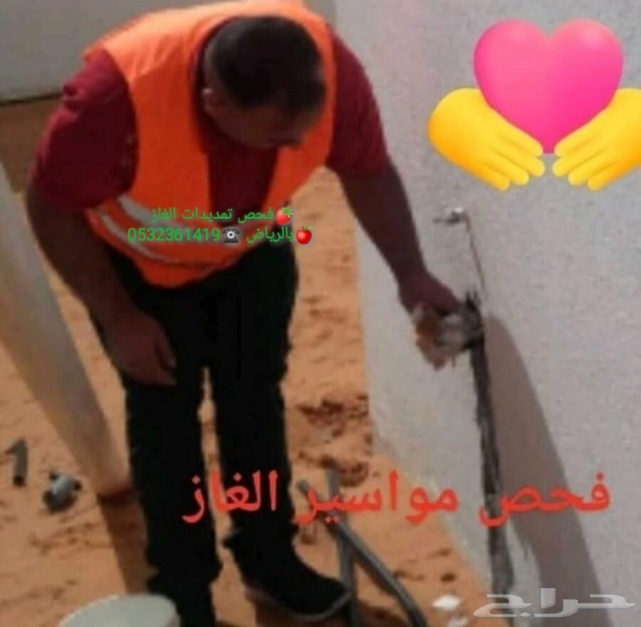 شركة رش مبيدات ومكافحة الحشرات والقوارض