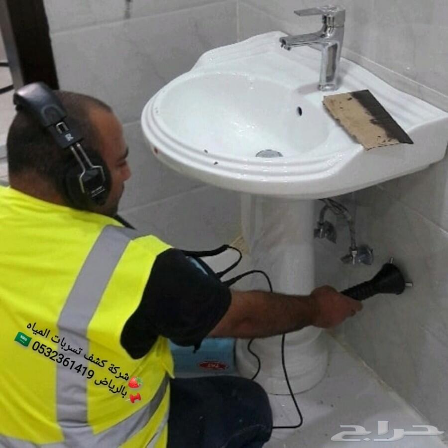 شركة رش مبيدات ومكافحة الحشرات والقوارض