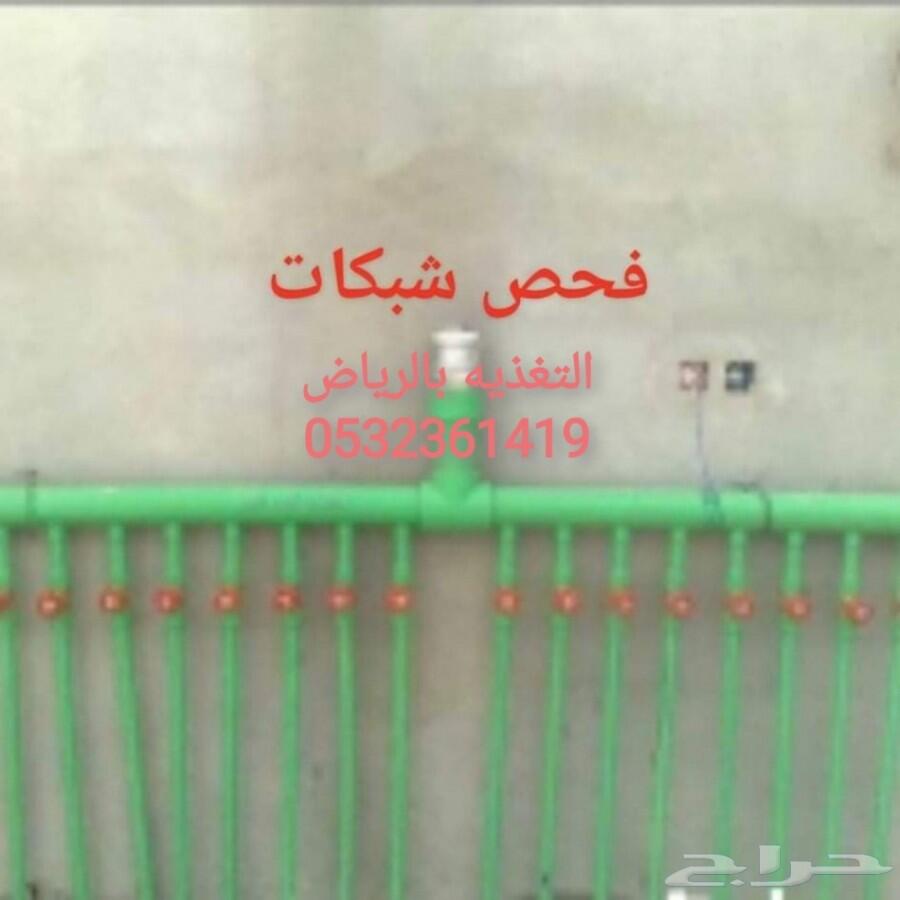 شركة رش مبيدات ومكافحة الحشرات والقوارض
