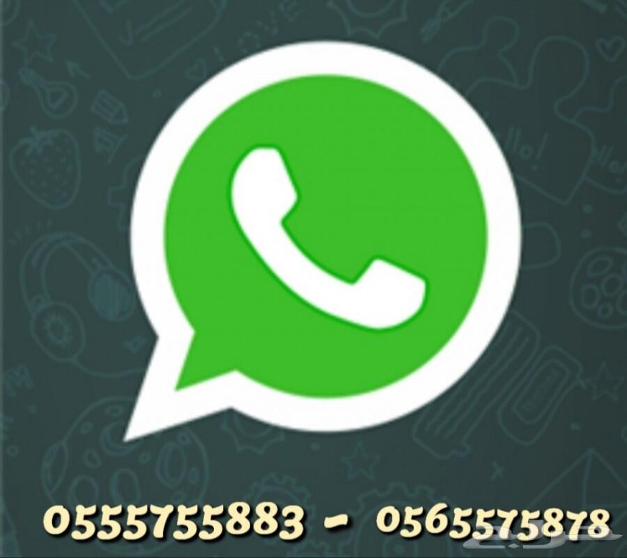 دباب بطه سبيد 110cc صيني جديد موديل 2020