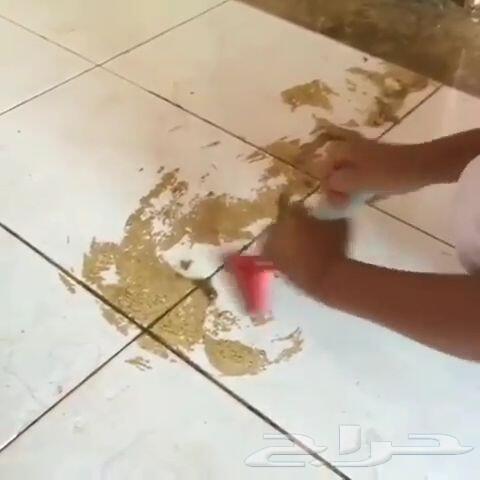شركة تنظيف تعقيم بالرياض-رش مبيد-تسليك مجاري