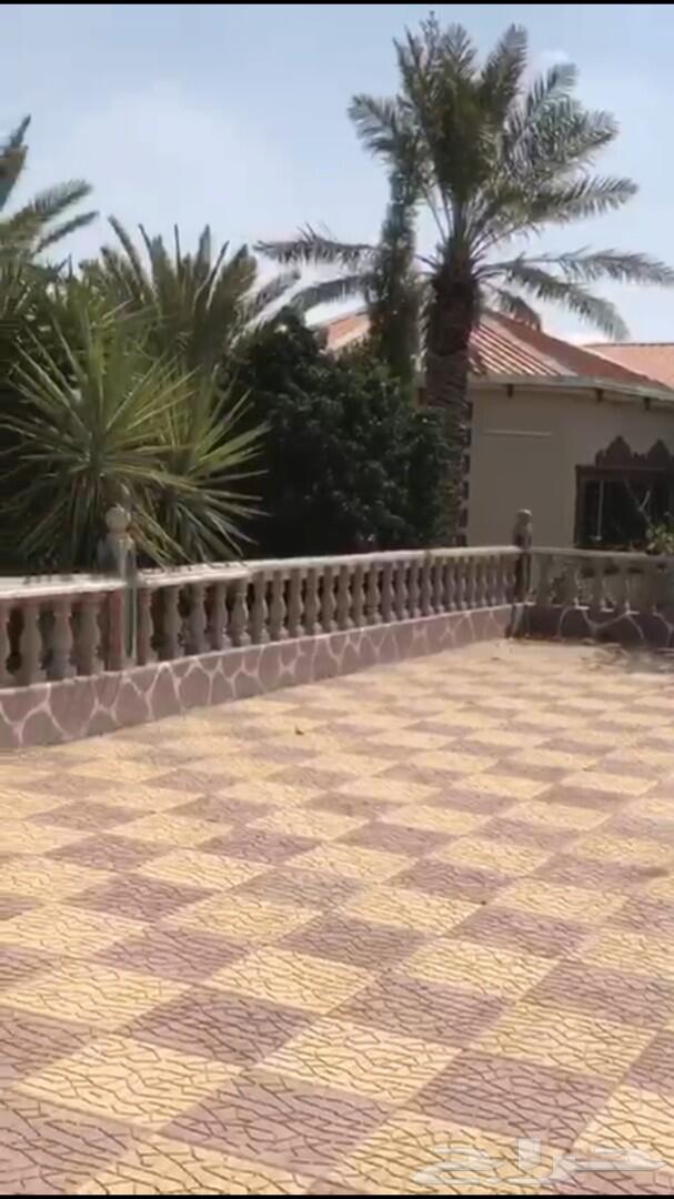 -استراحة للبيع ب السيل الصغير خلف بو هيثم -