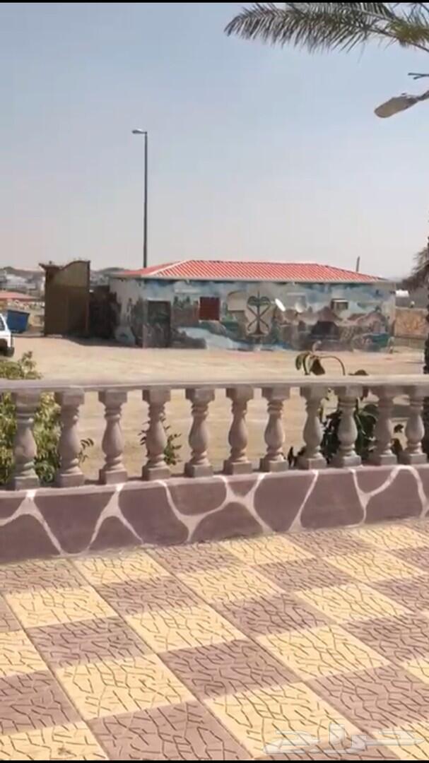 -استراحة للبيع ب السيل الصغير خلف بو هيثم -