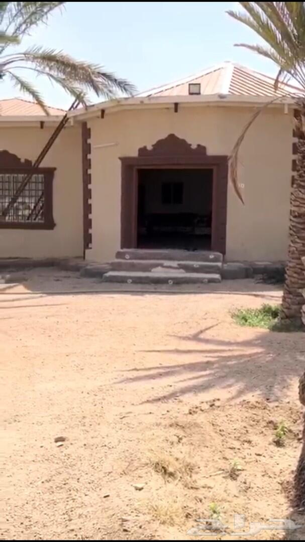 -استراحة للبيع ب السيل الصغير خلف بو هيثم -