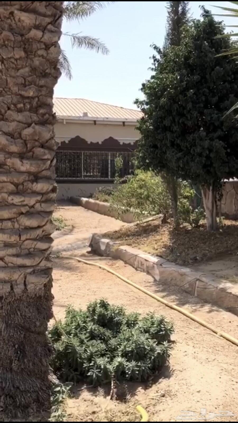 -استراحة للبيع ب السيل الصغير خلف بو هيثم -