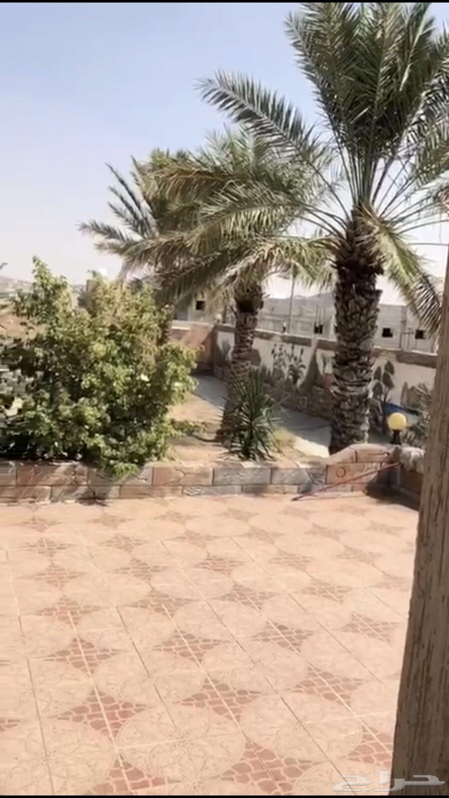-استراحة للبيع ب السيل الصغير خلف بو هيثم -