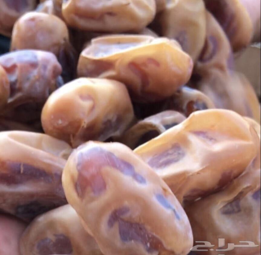 تمر خلاص حساوي حبة كبيرة اشقر انتاج السنة