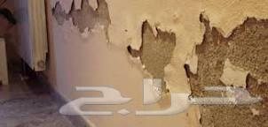 شركة فحص تسريبات وعوازل خزنات