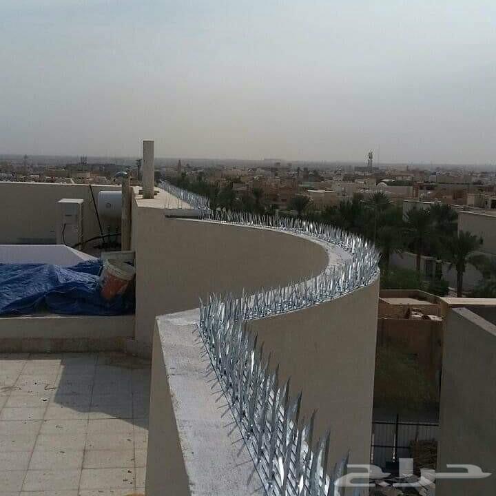 شركة تركيب طارد الحمام بالمدينة المنورة
