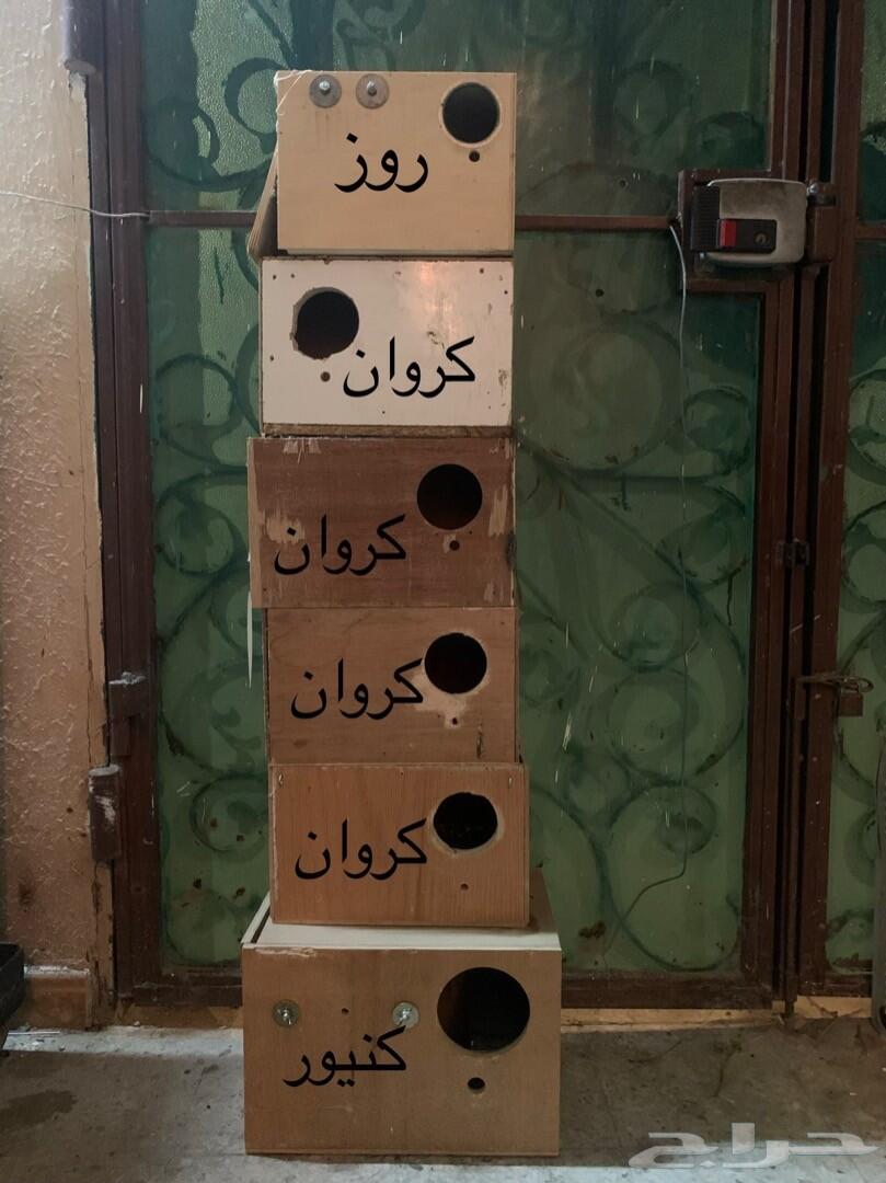 بياضات(كروان- روز- كنيور) ((( تم البيع )))