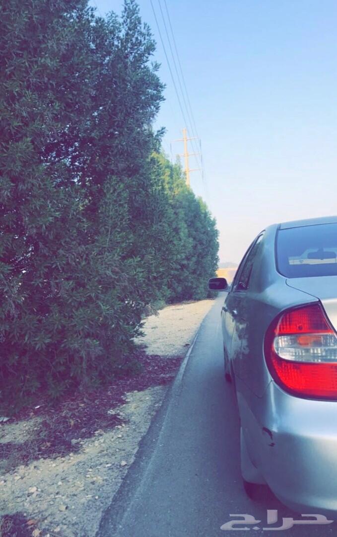 تويوتا كامري 2004 GLI