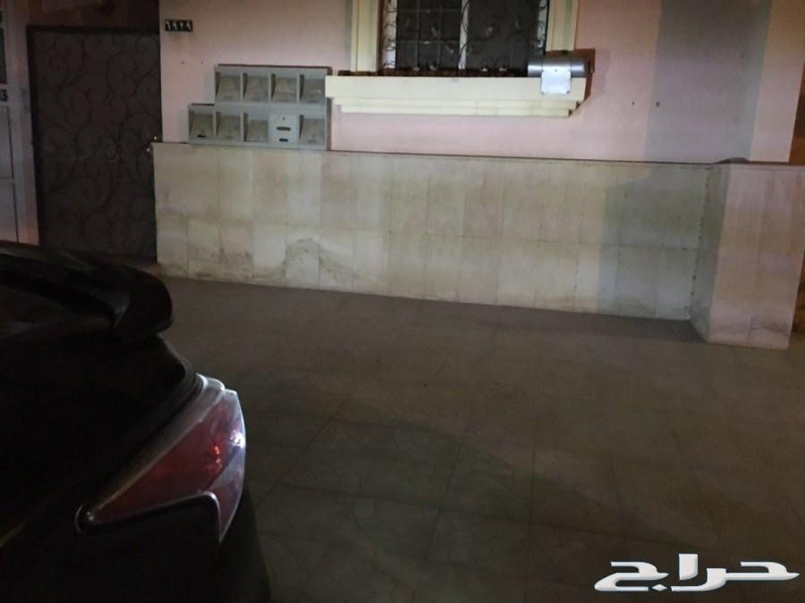 لمبات ريوس led