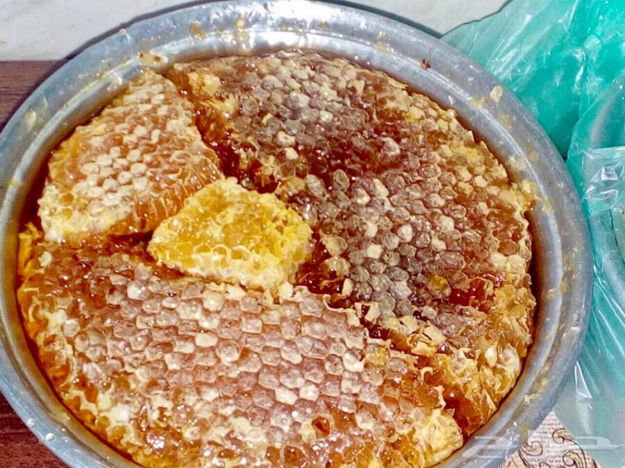 عسل عسل عرض اي كيلوب200 ريال اصلي ومضمون