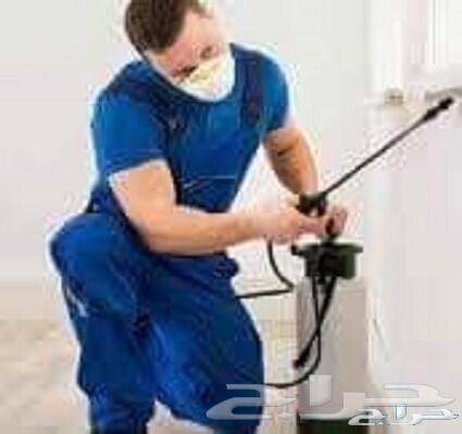 شركة رش حشرات بجدة رقم1 الأفضل في جدة