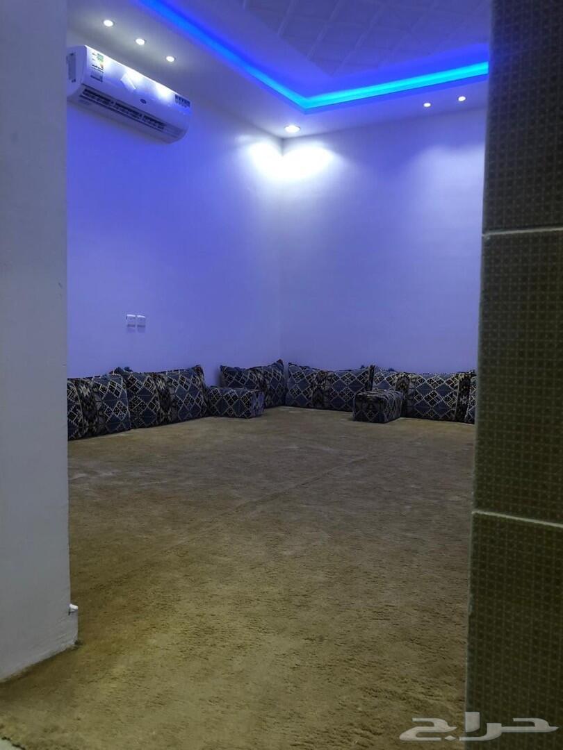 شالية لافا