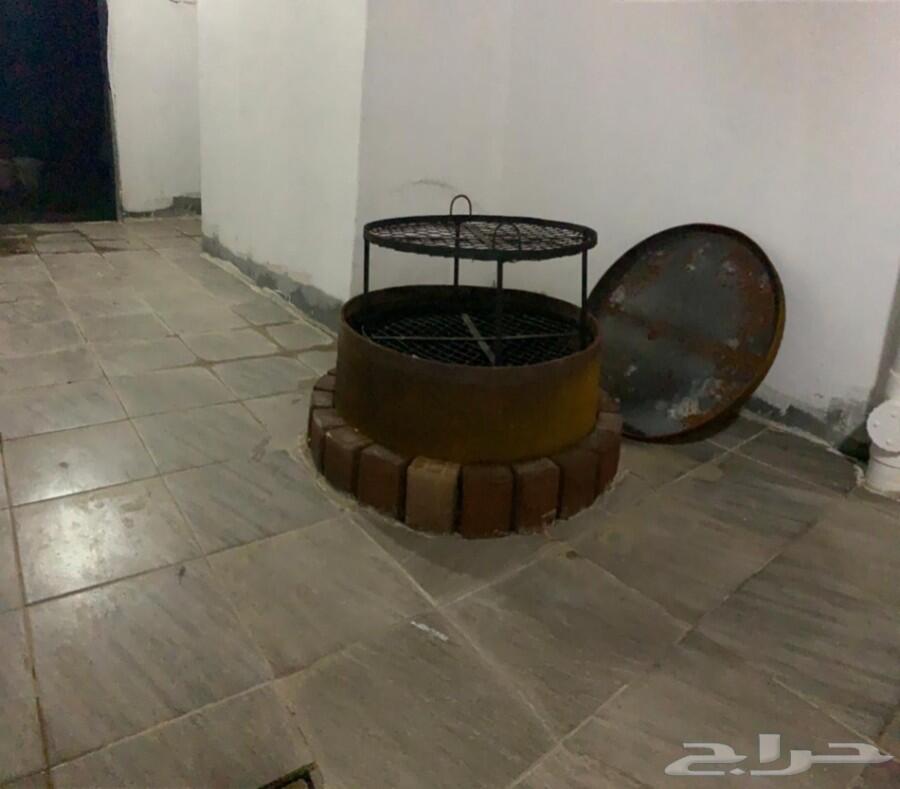 شالية لافا