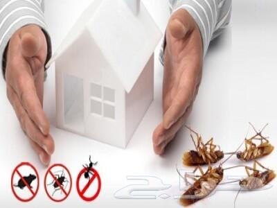 شركة رش مبيدات مكافحة حشرات نمل صراصير فئران