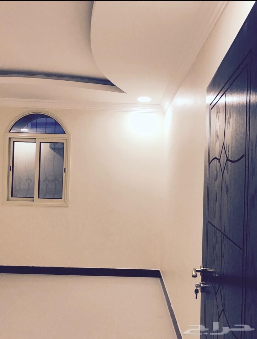 شقق عزاب