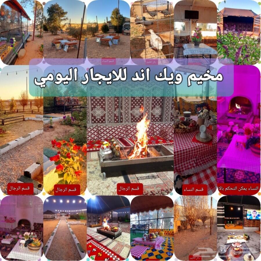 الذيبية مخيم للايجار اليومي