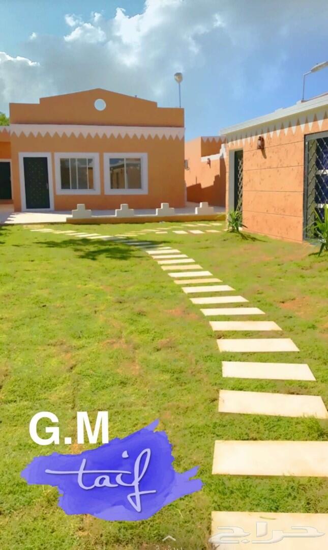 منتجع الأفنيوز ( الحويه - رحاب )
