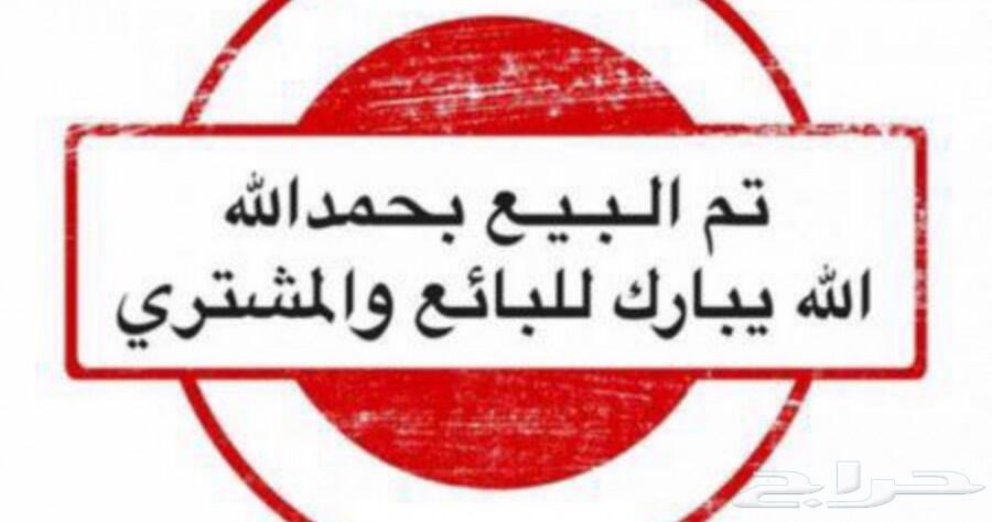 زوج كنيور متعوب عليه ( تم البيع)